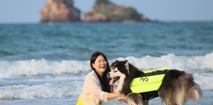pet-friendly-hotel-in-rayong-5-2