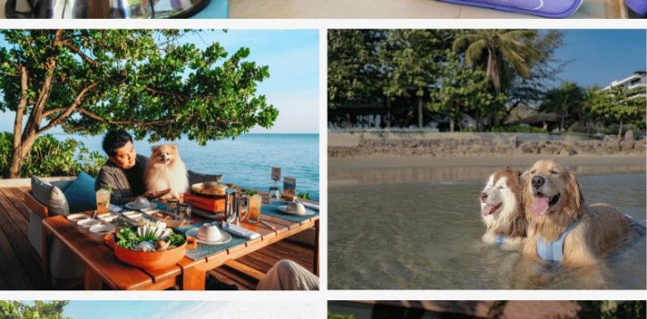 pet-friendly-hotel-in-rayong-4-2