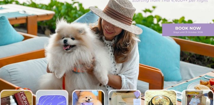 pet-journey-popup-2